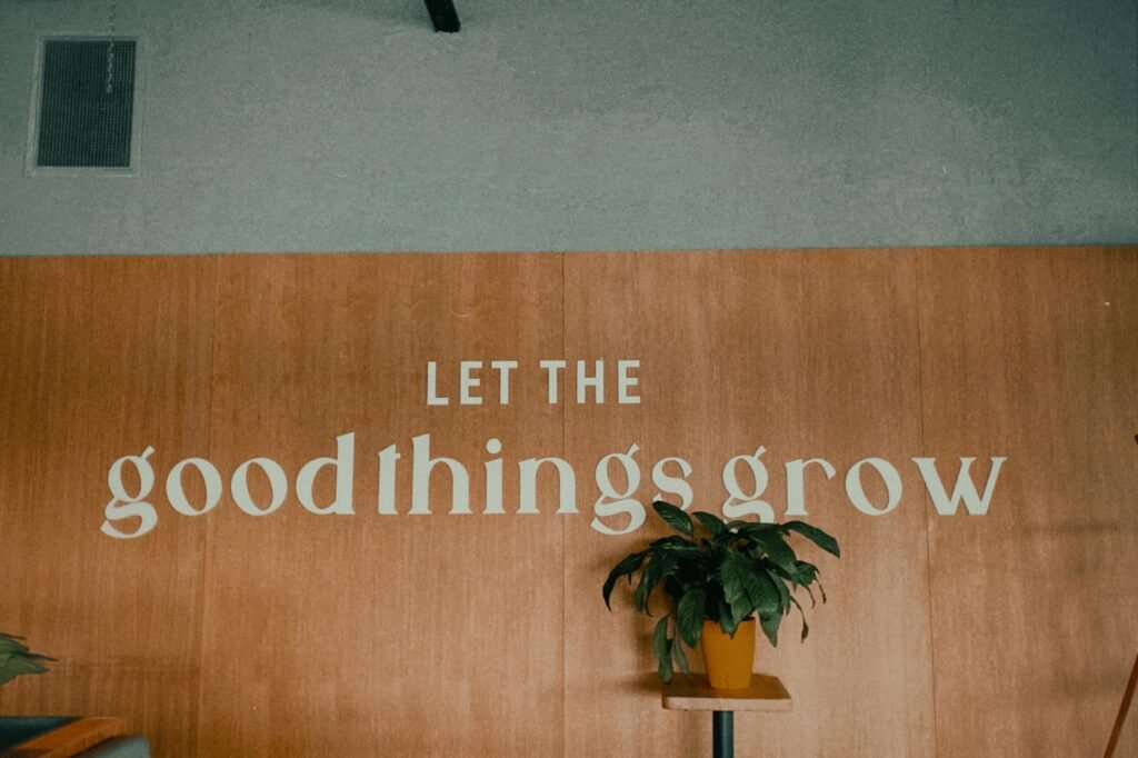 An indoor plant beside an inspiring message on a wooden wall.